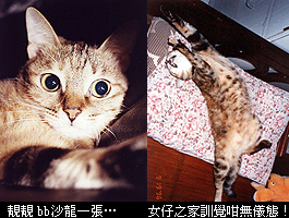 b �J����`�ͬ�